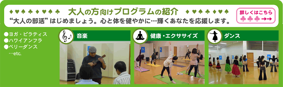 大人向けプログラム 大人向けプログラム